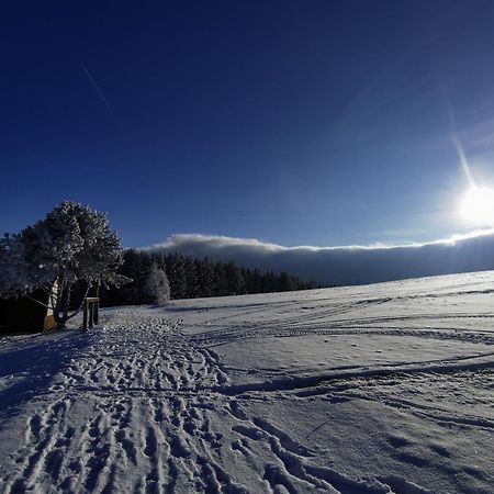 Berghaus Am Felsbruch Oberwiesenthal Ot Hammerunterwiesenthal Екстер'єр фото