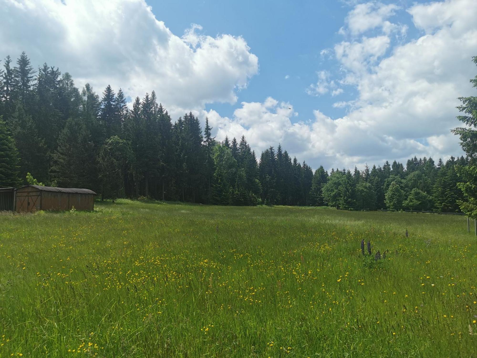 Berghaus Am Felsbruch Oberwiesenthal Ot Hammerunterwiesenthal Екстер'єр фото