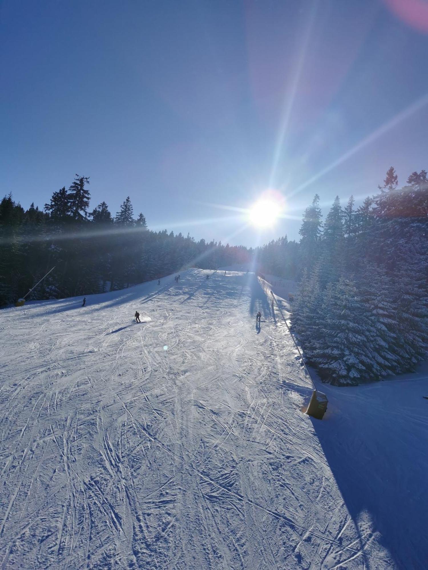Berghaus Am Felsbruch Oberwiesenthal Ot Hammerunterwiesenthal Екстер'єр фото