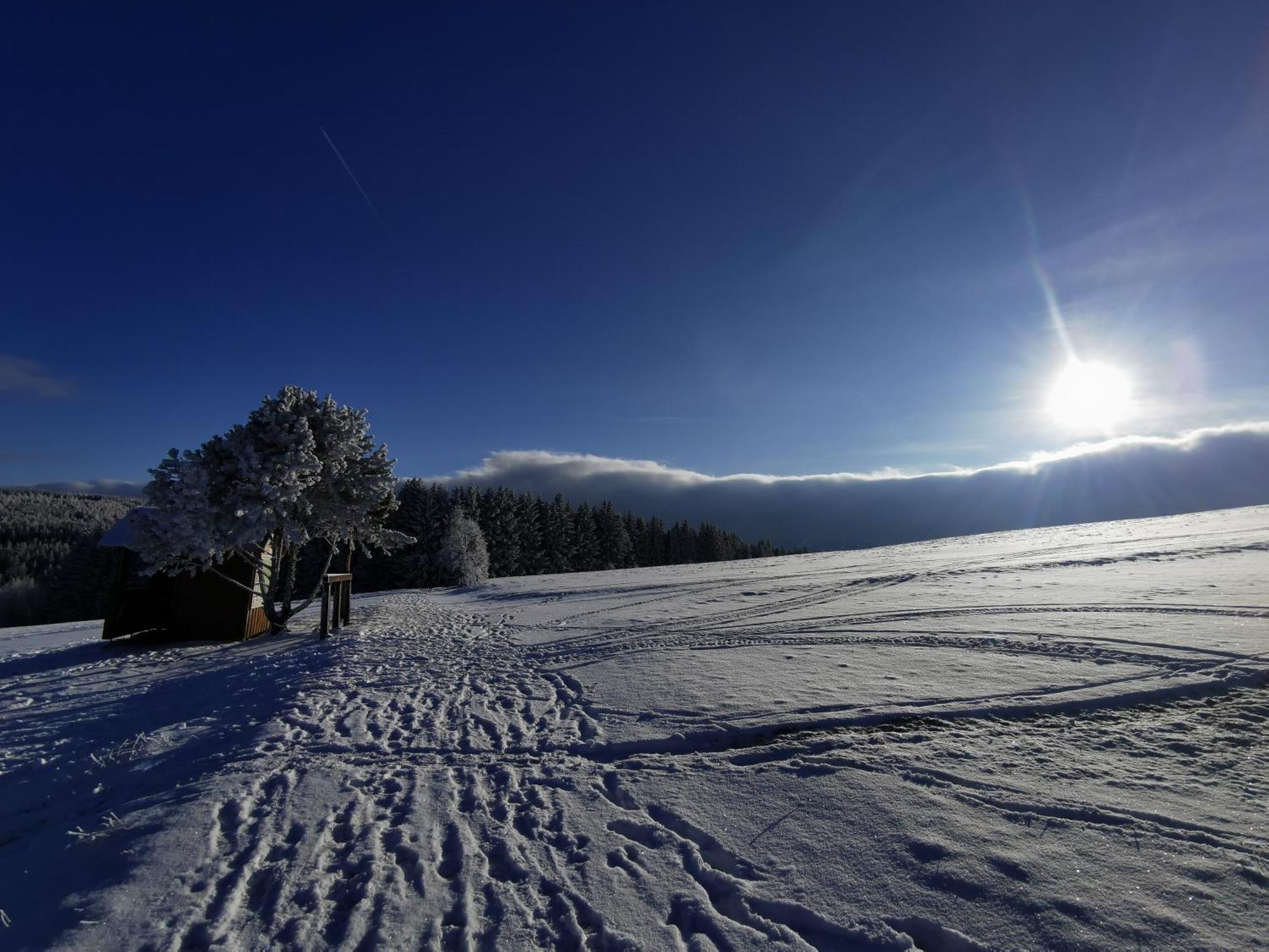 Berghaus Am Felsbruch Oberwiesenthal Ot Hammerunterwiesenthal Екстер'єр фото